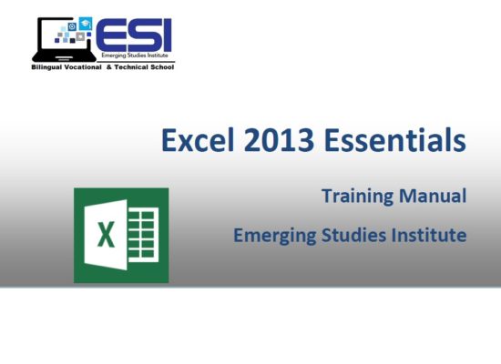 MS Excel 2013 Essentials